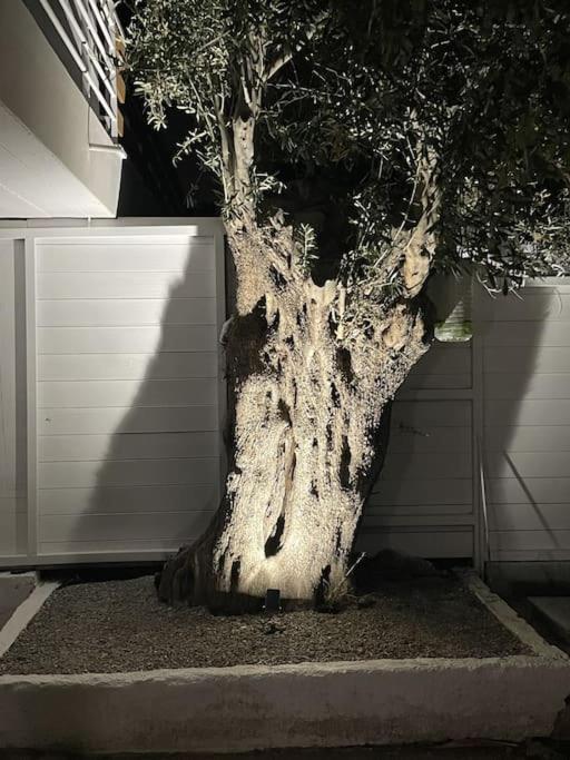 Villa Helio Kineta Exteriér fotografie
